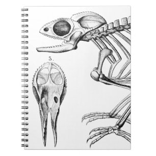 Caderno Espiral Esqueleto de lagarto Vintage