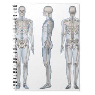 Caderno Espiral Esqueleto masculino 2