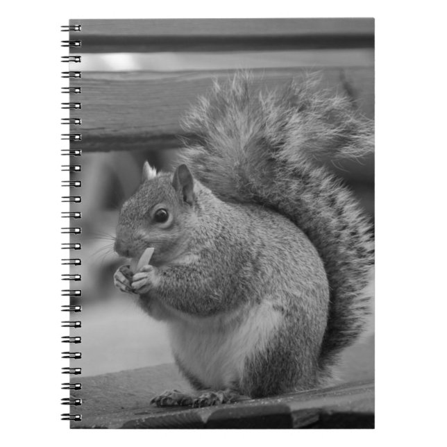 Caderno Espiral Esquilo (Frente)