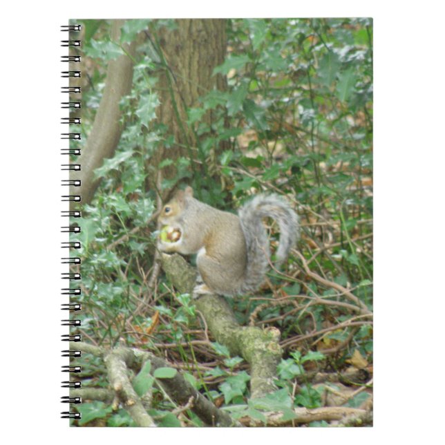Caderno Espiral Esquilo com Acorn Notebook (Frente)