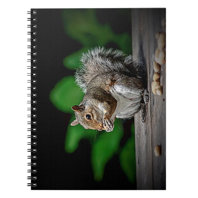 Caderno Espiral Esquilo com amendoim (Frente)