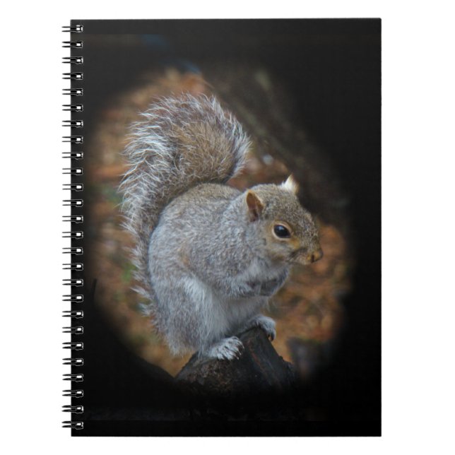 Caderno Espiral Esquilo da Cinza oriental - Sciurus carolinensis (Frente)