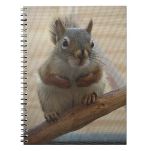 Caderno Espiral Esquilo de cobertura em forma de corte na ramifica