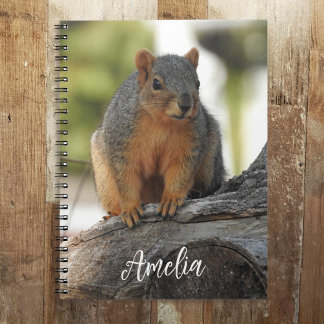 Caderno Espiral Esquilo Personalizado Bonito