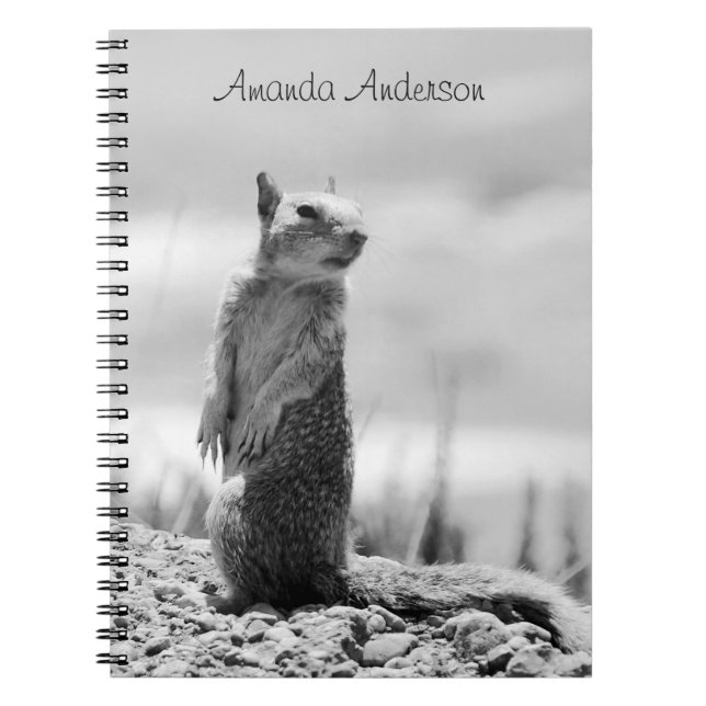 Caderno Espiral Esquilo - Personalizável (Frente)