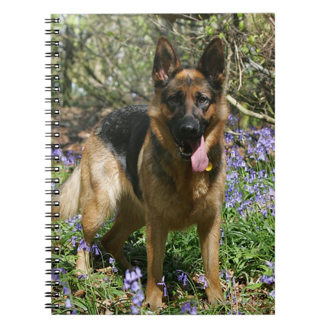 Caderno Espiral Estabelecimento do german shepherd (Frente)