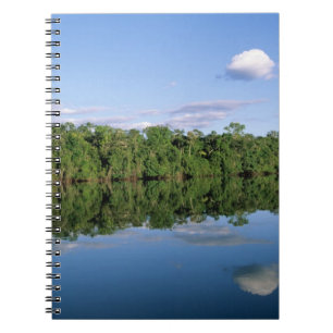Caderno Espiral Estado do Mato Grosso, Amazônia, Brasil. Florestad