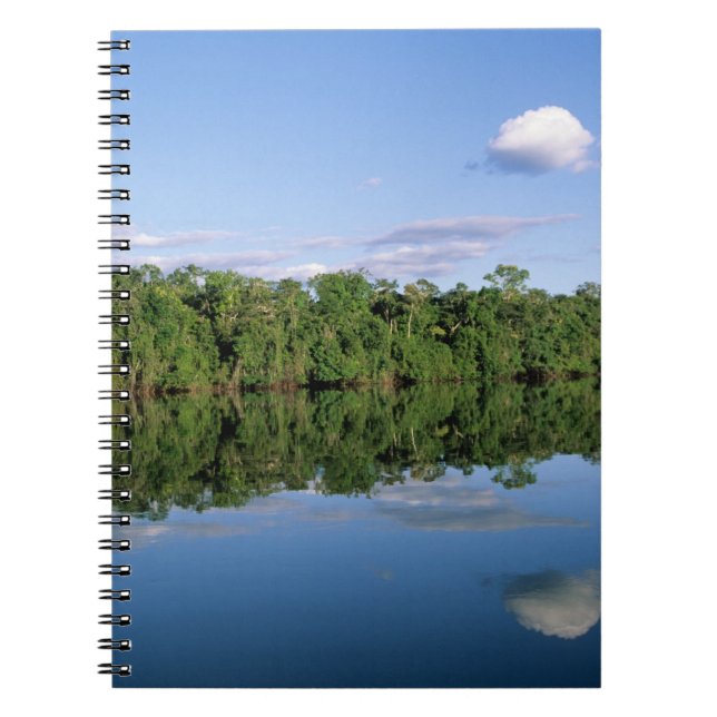 Caderno Espiral Estado do Mato Grosso, Amazônia, Brasil. Florestad (Frente)