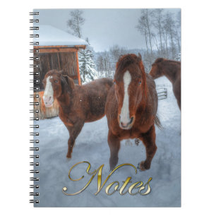 Caderno Espiral Estalhão Amoroso Engraçado e Cavalos Mare Relutant