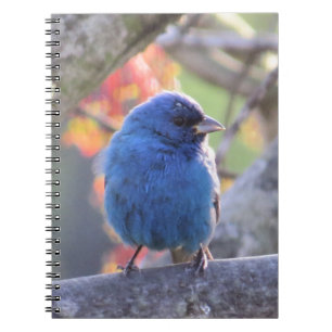 Caderno Espiral Estamenha de índigo
