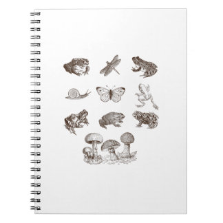 Caderno Espiral Estética Cottagecore Cogumelo Academia Sapo Gobli