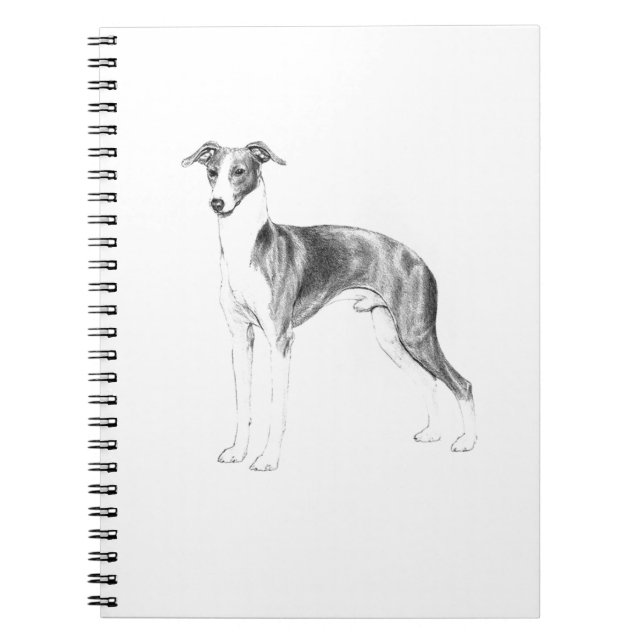 Caderno Espiral Estilo de Greyhound Italiano (Frente)