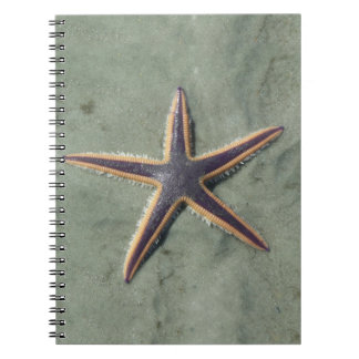 Caderno Espiral Estrela-de-estrela-do-mar-roxo na praia
