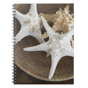 Caderno Espiral Estrela do mar em uma cesta