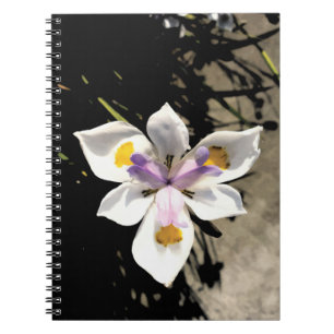 Caderno Espiral Estrela Flor