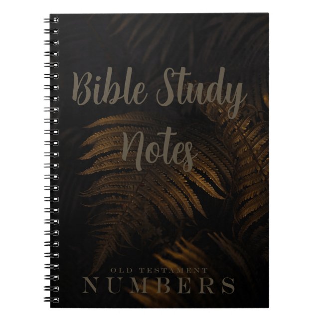 Caderno Espiral Estudo Bíblico-Números (Frente)