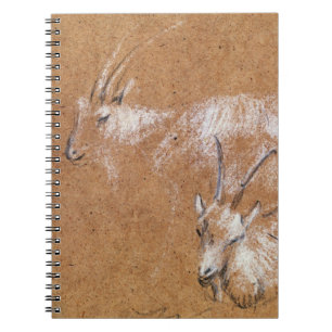Caderno Espiral Estudo das cabras (desenho)