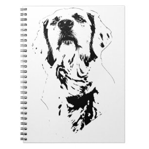 Caderno Espiral Estudo de Linha, Diário Calmo