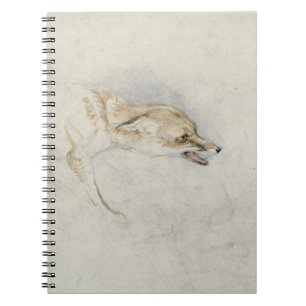 Caderno Espiral Estudo de um Fox de agachamento, enfrentando o