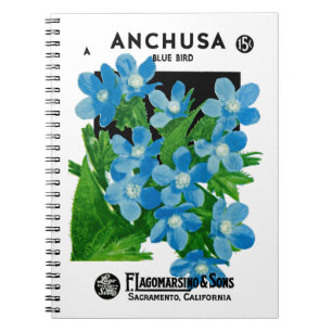 Caderno Espiral Etiqueta do pacote da semente do Anchusa