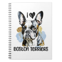 Eu Amo Boston Terriers