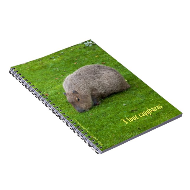 Caderno Espiral Eu amo o capybaras Notebook (Lado Direito)