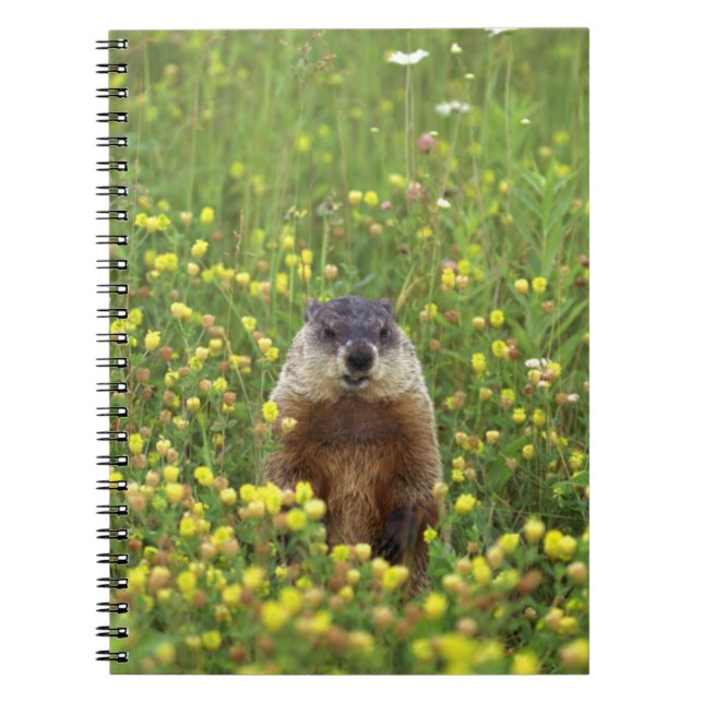 Caderno Espiral Eu sou Groundhog (Frente)