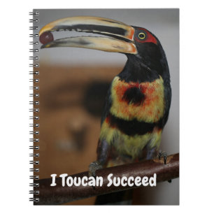 Caderno Espiral Eu Tucano Sucesso