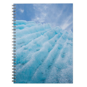 Caderno Espiral EUA, Alasca, Parque Nacional Glacier Bay 4