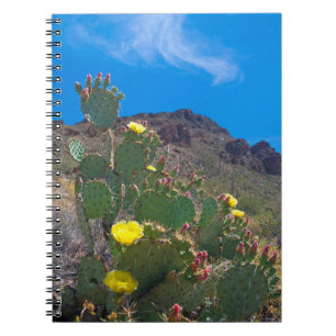 Caderno Espiral EUA, Arizona. Cacto Nas Colinas