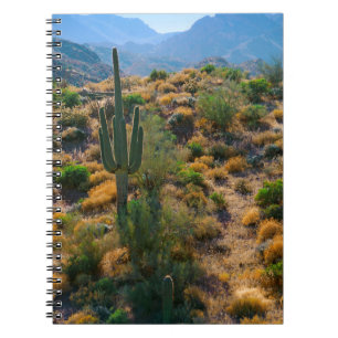 Caderno Espiral EUA, Arizona. Exibição de Deserto
