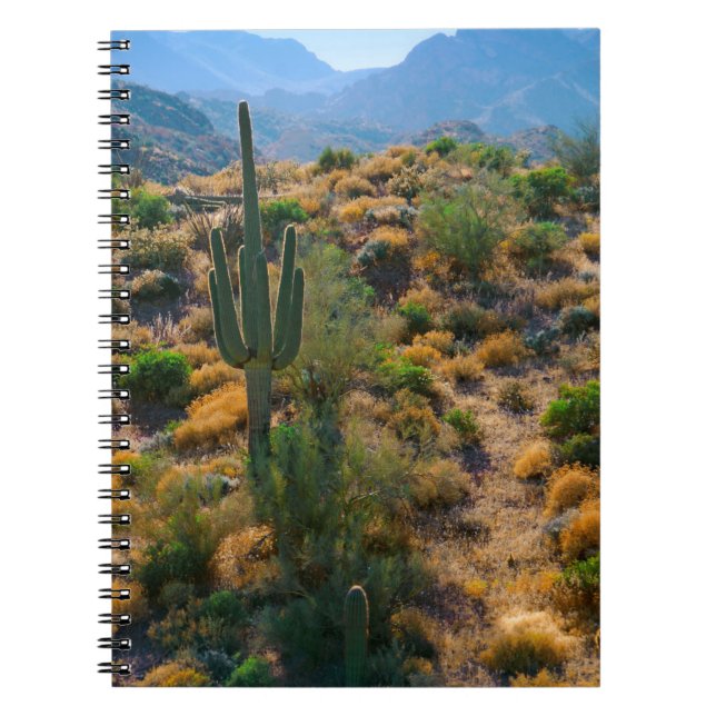Caderno Espiral EUA, Arizona. Exibição de Deserto (Frente)