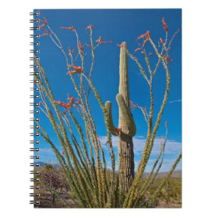 Caderno Espiral EUA, Arizona. Parque Nacional De Cactus Em Saguaro