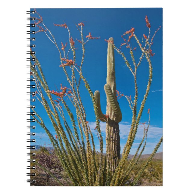Caderno Espiral EUA, Arizona. Parque Nacional De Cactus Em Saguaro (Frente)