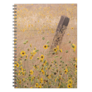 Caderno Espiral EUA, Califórnia, Adin. Cerca de Arame Farpado