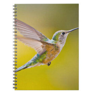 Caderno Espiral EUA, Colorado, Condado de Summit, Heeney. Vista la
