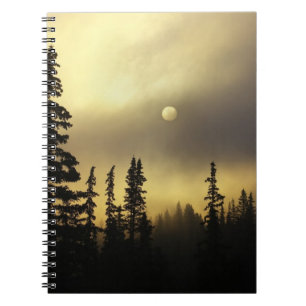 Caderno Espiral EUA, Colorado, Floresta Nacional de San Isabel.