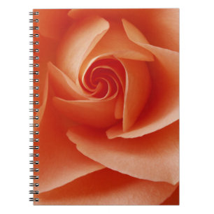 Caderno Espiral EUA, Colorado, Lafayette. Fechamento do rosa de P