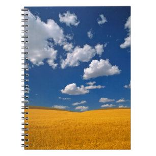 Caderno Espiral EUA, Estado de Washington, Colfax. Cevada madura e