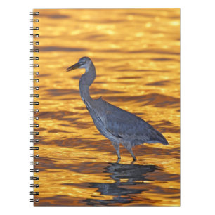 Caderno Espiral EUA, Flórida, St. Petersburg, Fort De Soto Park.