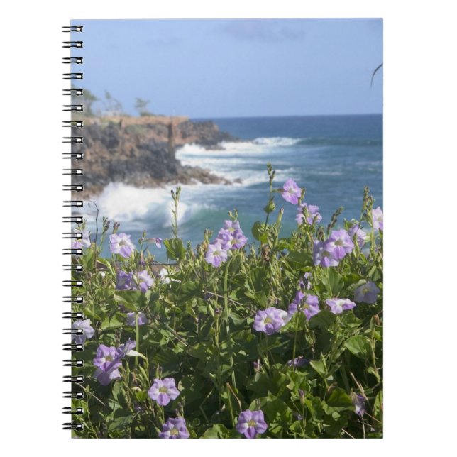 Caderno Espiral EUA, Havaí, Kauai, perto de Kapaa, noroeste (Frente)