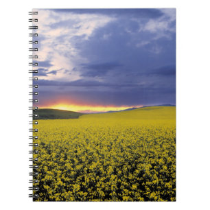 Caderno Espiral EUA, Idaho, Swan Valley. Um pôr do sol ardente irr