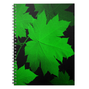 Caderno Espiral EUA, Kansas, Folhas de Carvalho à Luz