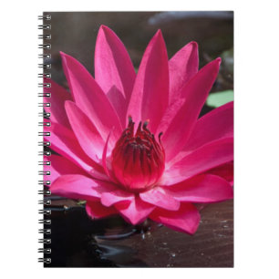 Caderno Espiral EUA, Kansas, Lírio de Água Vermelho Brilhante