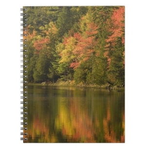 Caderno Espiral EUA; Maine; Acadia NP. Reflexos de outono em