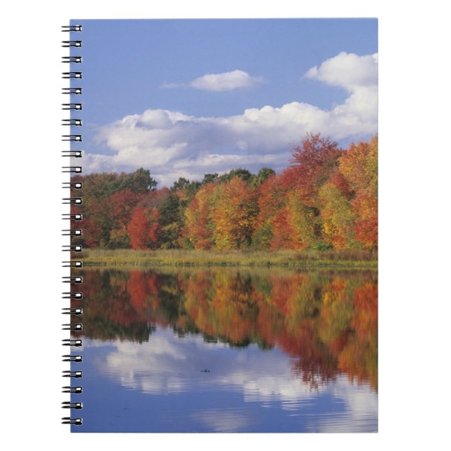 Caderno Espiral EUA, Massachusetts, Acton. Reflexo do outono (Frente)