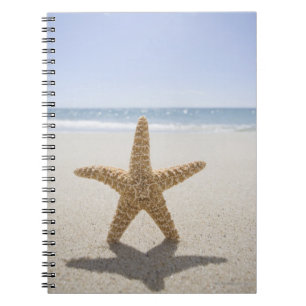 Caderno Espiral EUA, Massachusetts, Cape Cod, Nantucket, fim