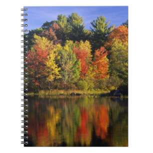 Caderno Espiral EUA, New Hampshire, Moultonborough. Árvores em