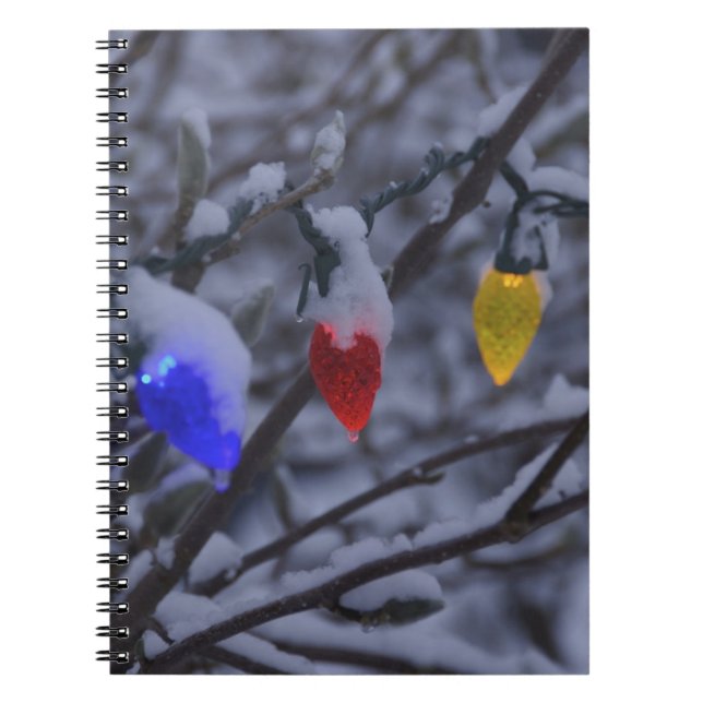Caderno Espiral EUA, Nova Inglaterra, Massachusetts, Reading, 2 (Frente)