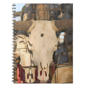 Caderno Espiral EUA, Novo México, Mesilla: Historic Mesilla Plaza